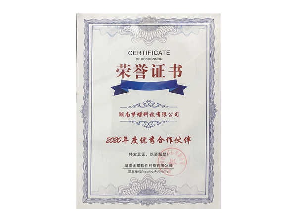 金蝶年度優(yōu)秀合作伙伴