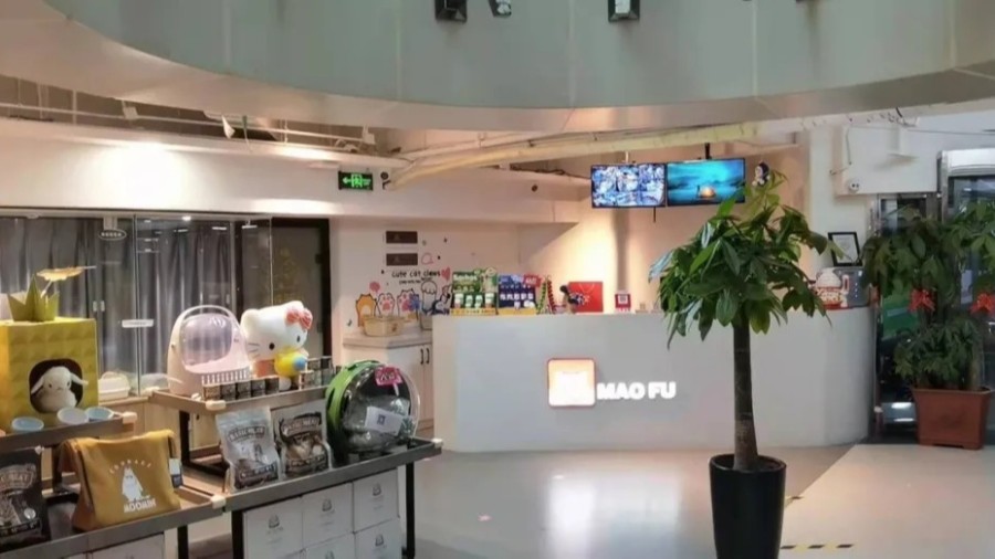 金蝶云星辰寵物行業(yè)案例：新零售時(shí)代，寵物企業(yè)如何決勝市場(chǎng)?